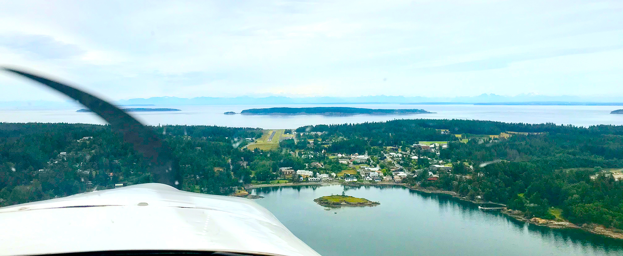 your voice - your future